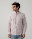 Camisa Oxford Regular Rayas Burdeos - Scotta