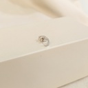 Pendiente Luna Grande Plateado