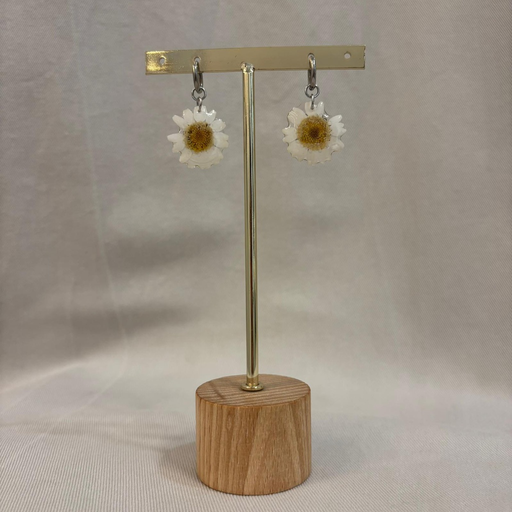 Pendientes Aro Flor Natural Resina Margarita Plateado