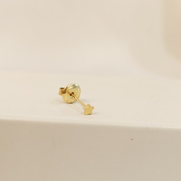 Pendiente Mini Estrella Dorado