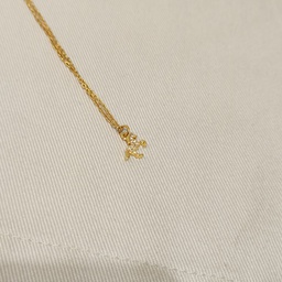 Collar Caballo Circonitas Dorado