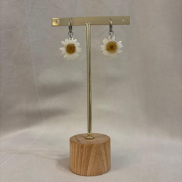 Pendientes Aro Flor Natural Resina Margarita Plateado